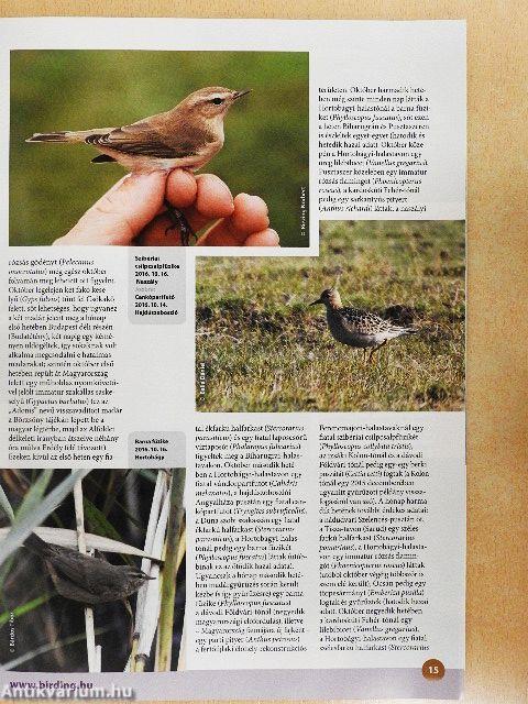 Madártávlat 2017. tavasz-tél