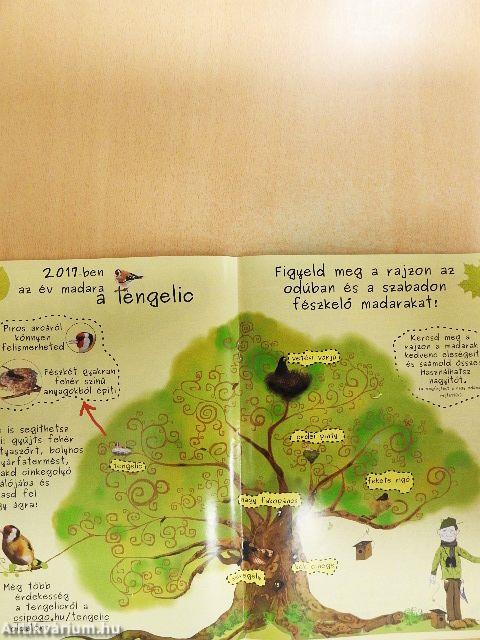 Madártávlat 2017. tavasz-tél