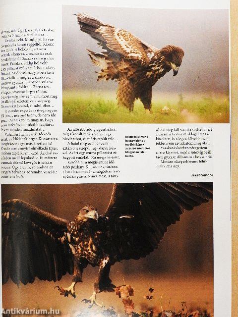 Madártávlat 2017. tavasz-tél