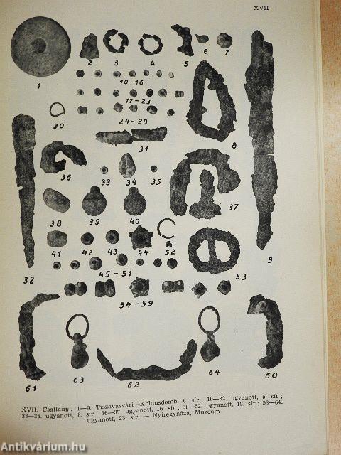 A Nyíregyházi Jósa András Múzeum évkönyve I.