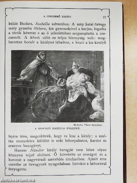 A magyar nemzet története regényes rajzokban I-III.