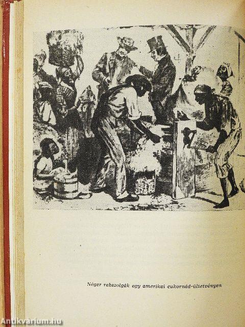 Rabszolgák az Újvilágban