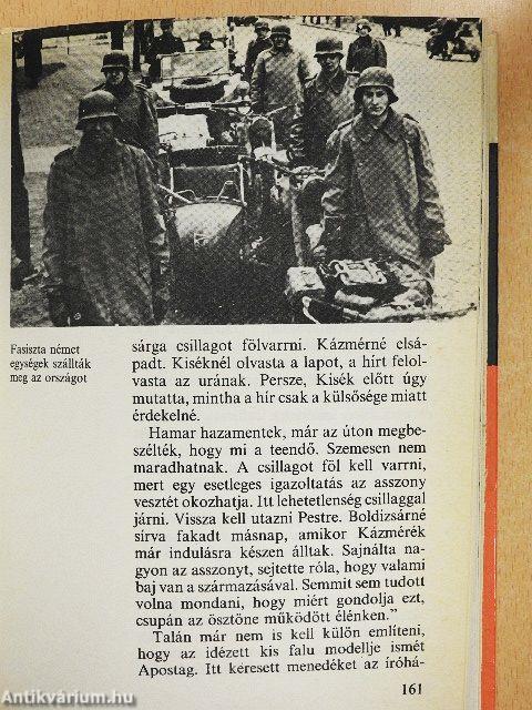 Így élt Nagy Lajos