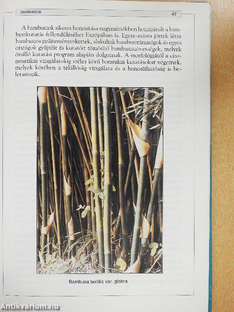 Bambuszok és díszfüvek képeskönyve