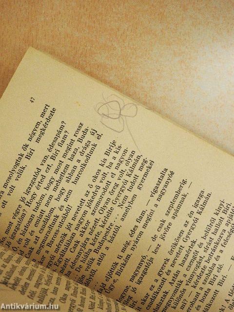 Biri és a nagyvilág