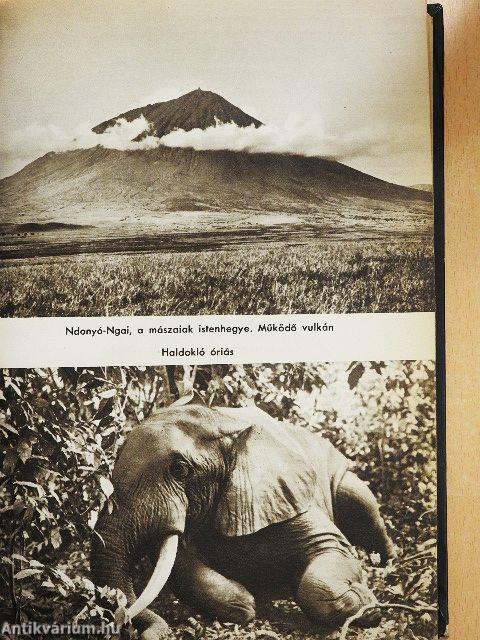 Kelet-Afrika vadonjaiban