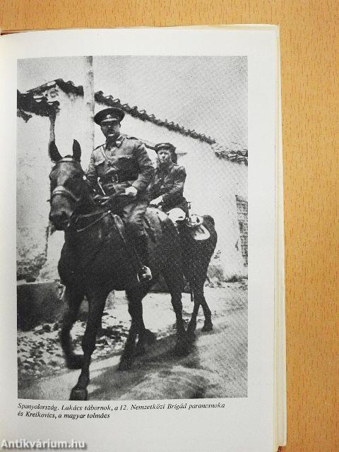 Vallomások Zalka Mátéról