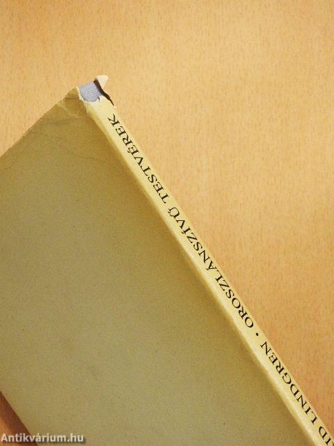 Oroszlánszívű testvérek