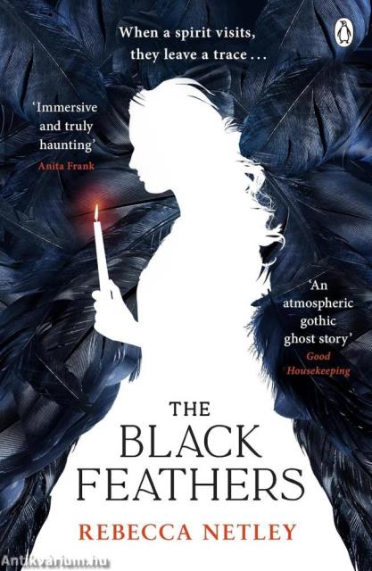 The Black Feathers: A chilling gothic thriller