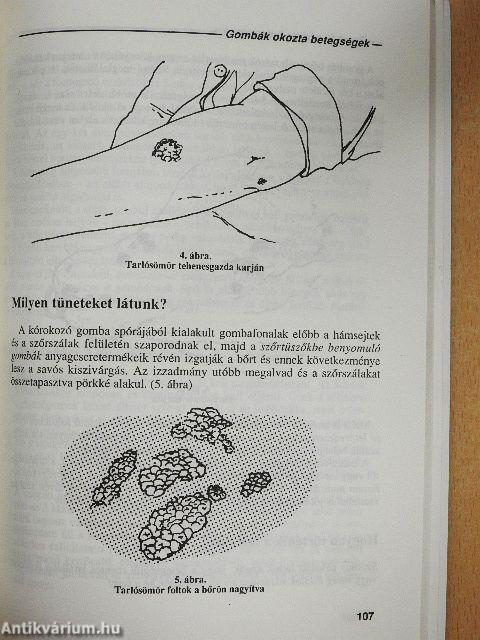 Állatról emberre terjedő betegségek