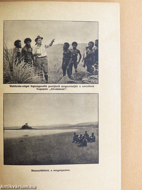 "20 kötet A világjárás hősei című sorozatból (nem teljes sorozat)"