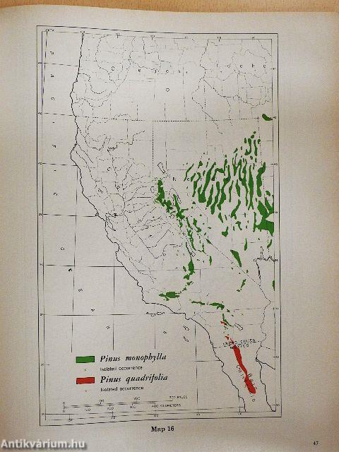 Geographic Distribution of the Pines of the World