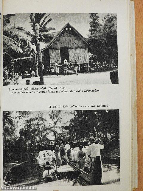 Hozzál nekem kengurut