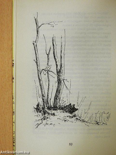 Magasles a Kékes alatt