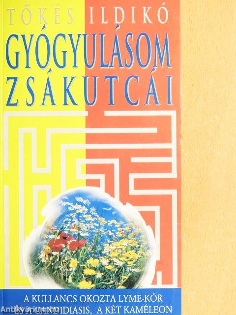 Gyógyulásom zsákutcái