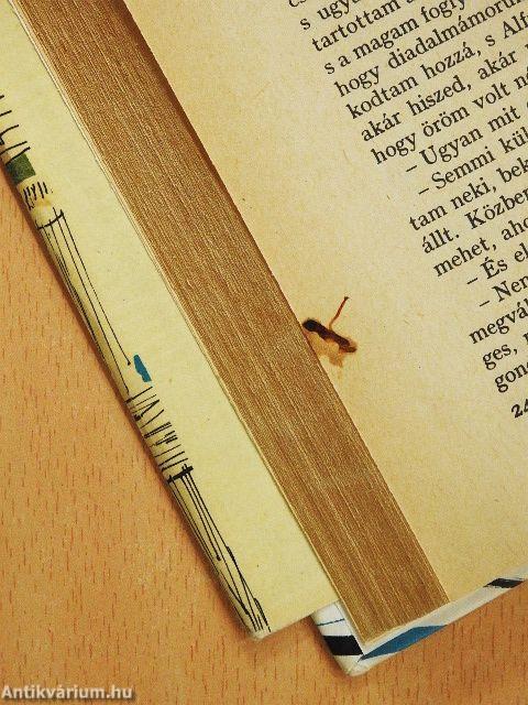 Tamás bátya kunyhója