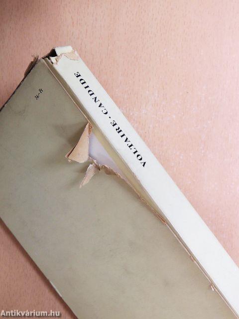 Candide vagy az optimizmus