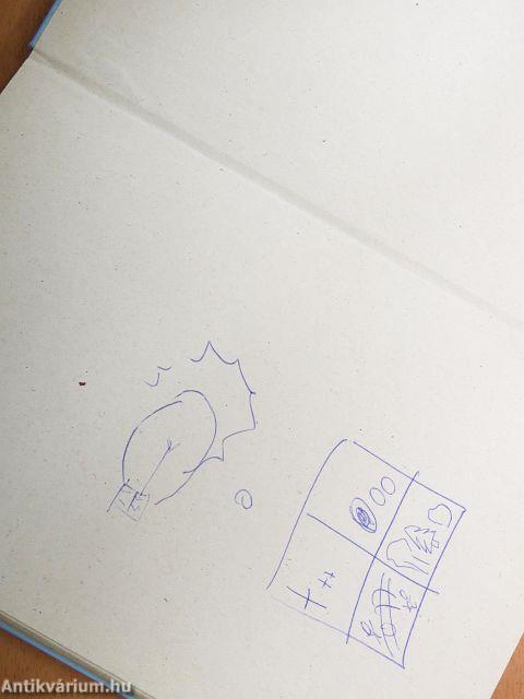 Nem figyeled hiába, ablak ez a világra. Mi ez?