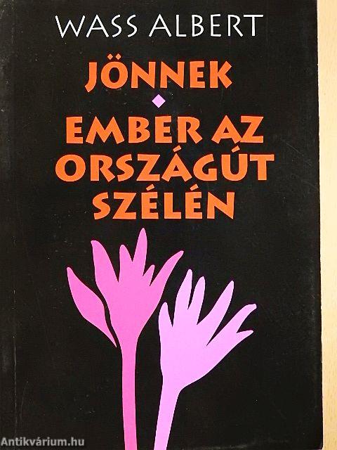 Jönnek/Ember az országút szélén