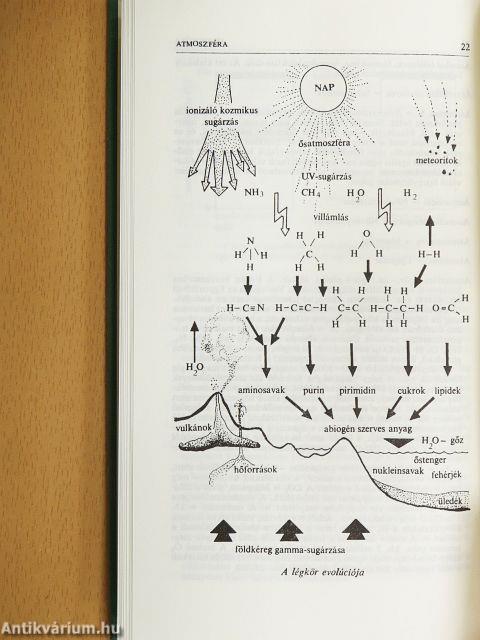 Ökológia kislexikon