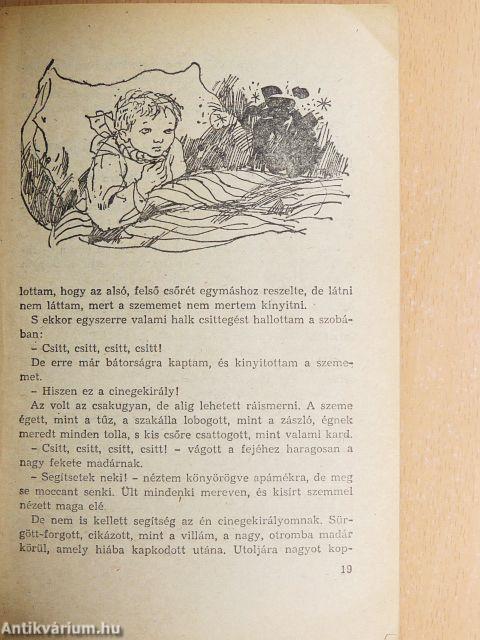 Kincskereső kisködmön