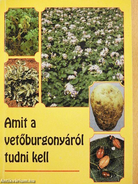 Amit a vetőburgonyáról tudni kell