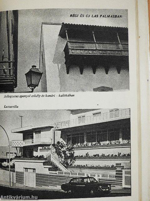 Csipetnyi Antarktisz