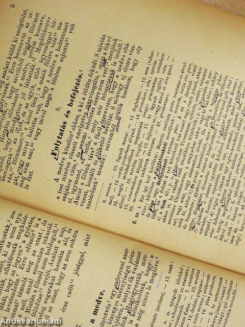 Latin irályképző gyakorlatok