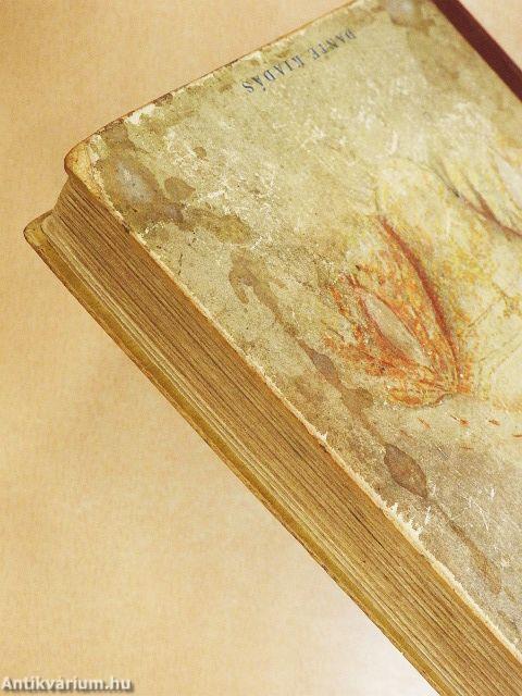 Magyar nagyasszonyok