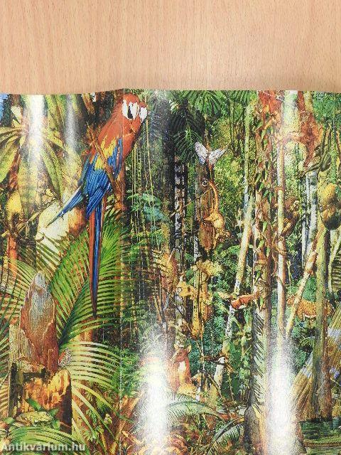 National Geographic January 1983