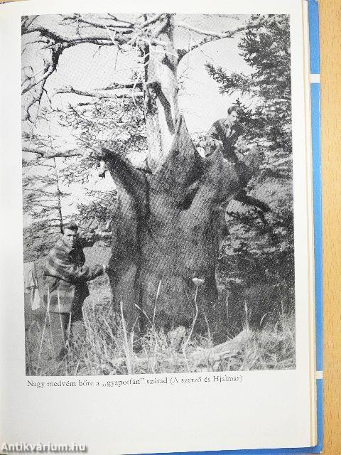 Alaszkában vadásztam