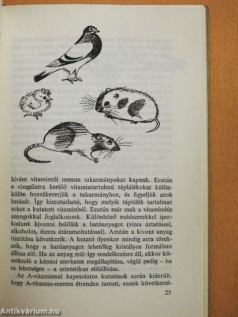 Az indiánok varázsitala