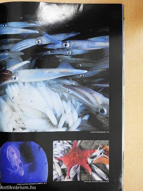 National Geographic August 2004