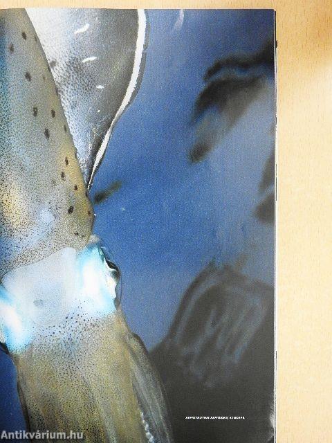 National Geographic August 2004