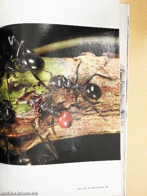 National Geographic August 2009