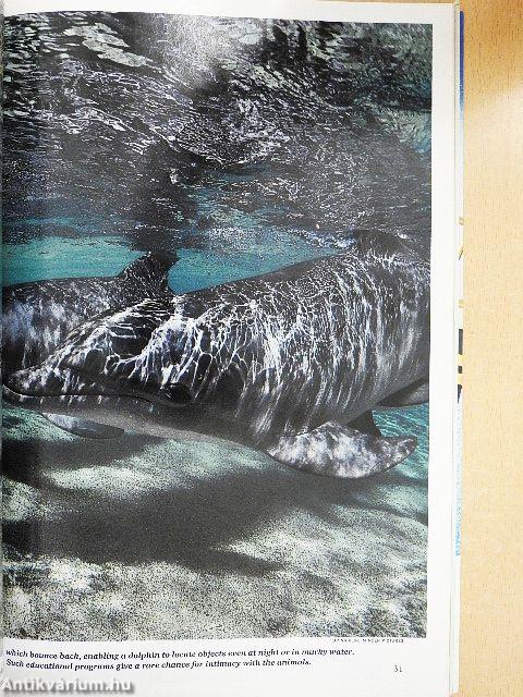 National Geographic September 1992