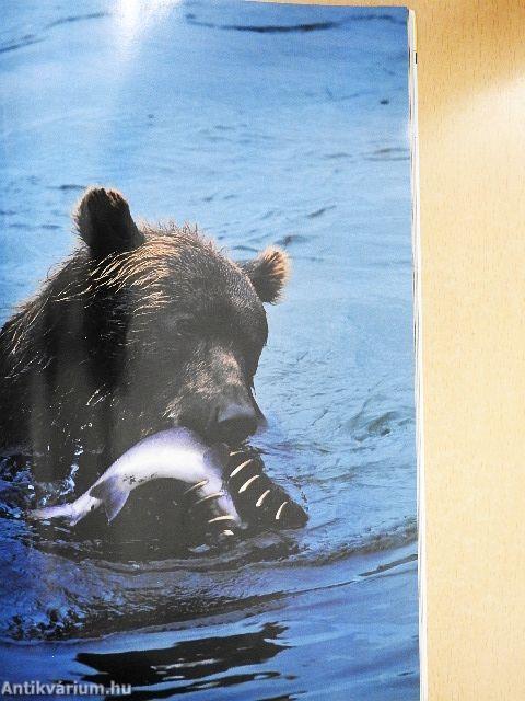 National Geographic February 2006