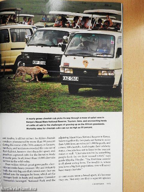 National Geographic November 2012