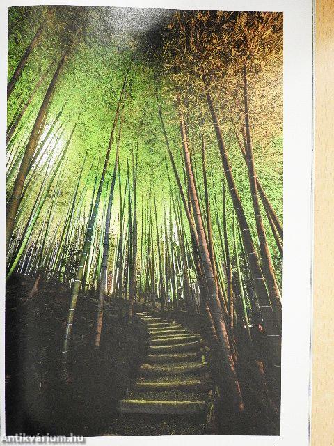 National Geographic March 2013