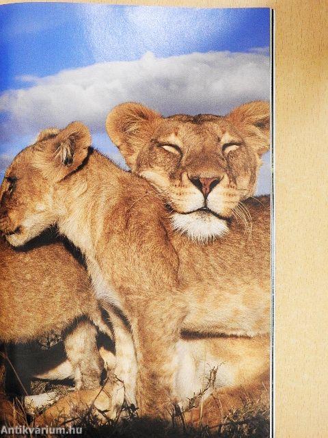 National Geographic August 2013