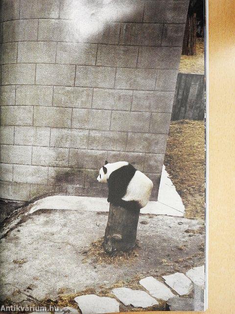 National Geographic July 2006