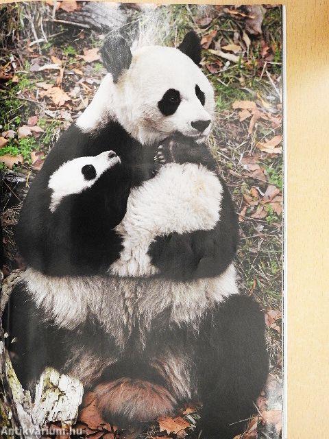 National Geographic July 2006