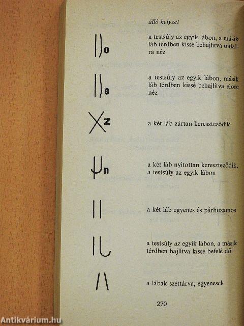 A közvetlen emberi kommunikáció szabályszerűségei