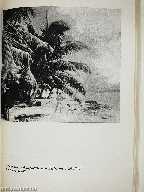 Egyszemélyes sziget