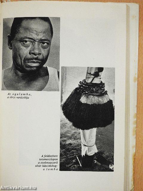 Cikcakkban az Egyenlítőn