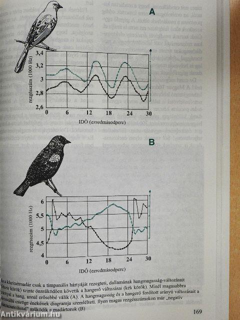 Eleven találmányok