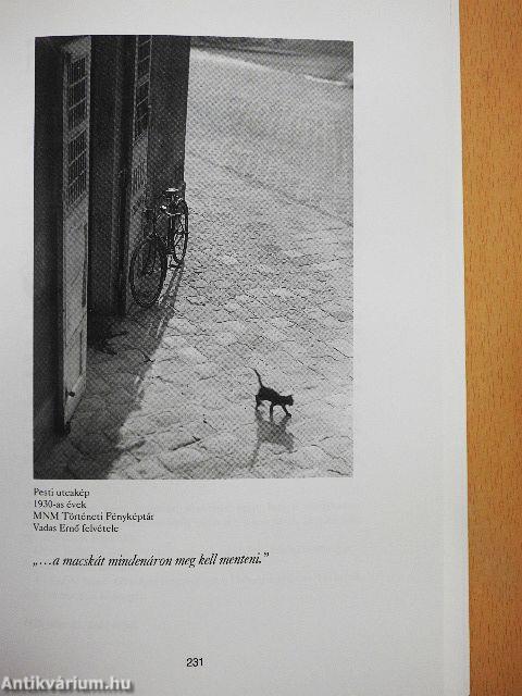 Budapesti Negyed 2008. tél