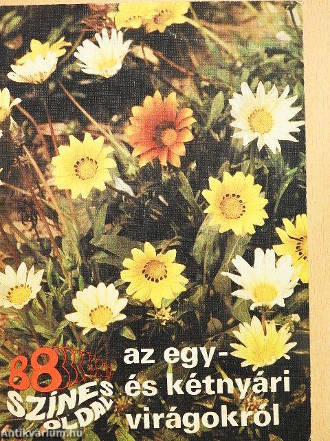 Az egy- és kétnyári virágokról