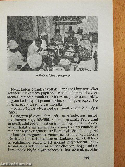 Kenyai napló