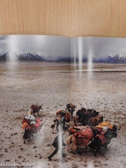 National Geographic February 2013